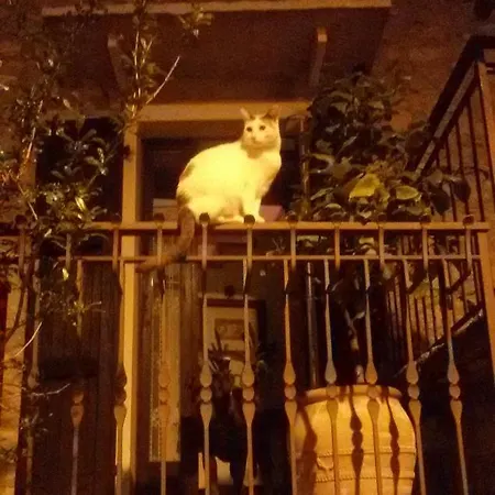 Beb Da Paolo Con Vista Отель типа 